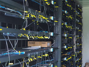 An array of mining rigs powered efficiently, highlighting the role of quality power supplies in sustained operations